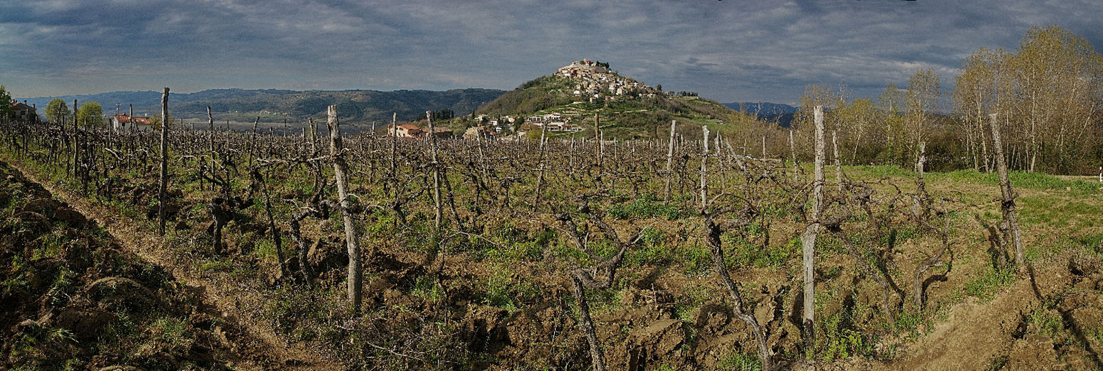 MOTOVUN4 PANORAMA